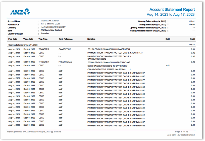 Account Report Types – ANZ Digital Services Help