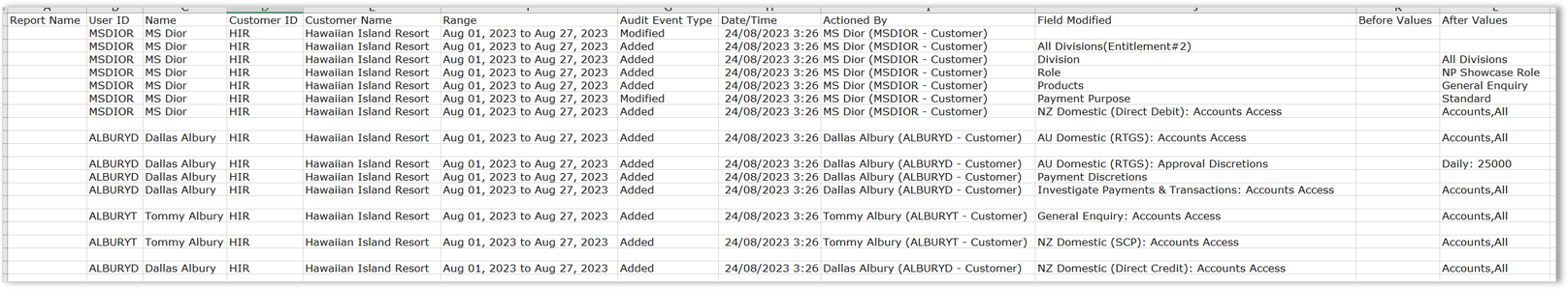 Report - User Audit (Excel).png