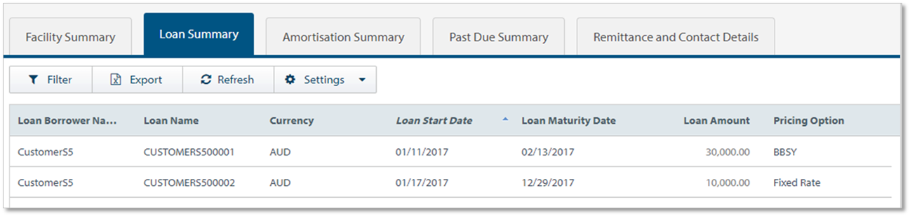 Loan Summary Tab.png