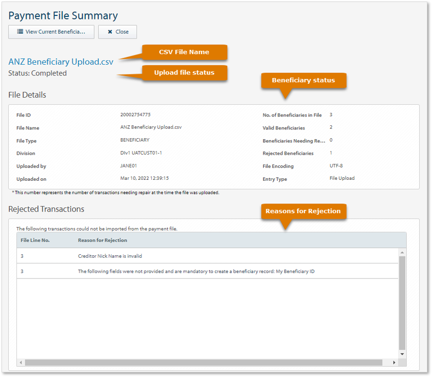 Payment_File_Summary.png