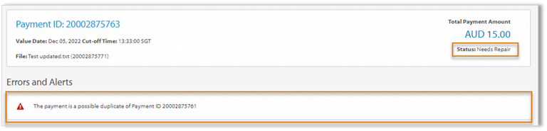 Needs_Repair_Errors.png