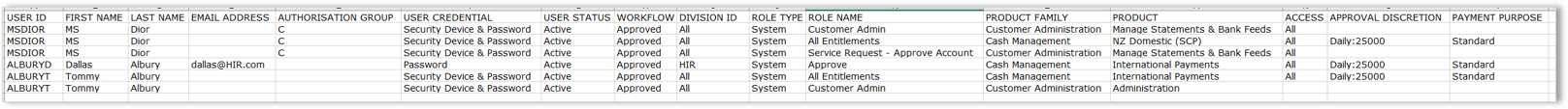 Report - User Details (Excel).png