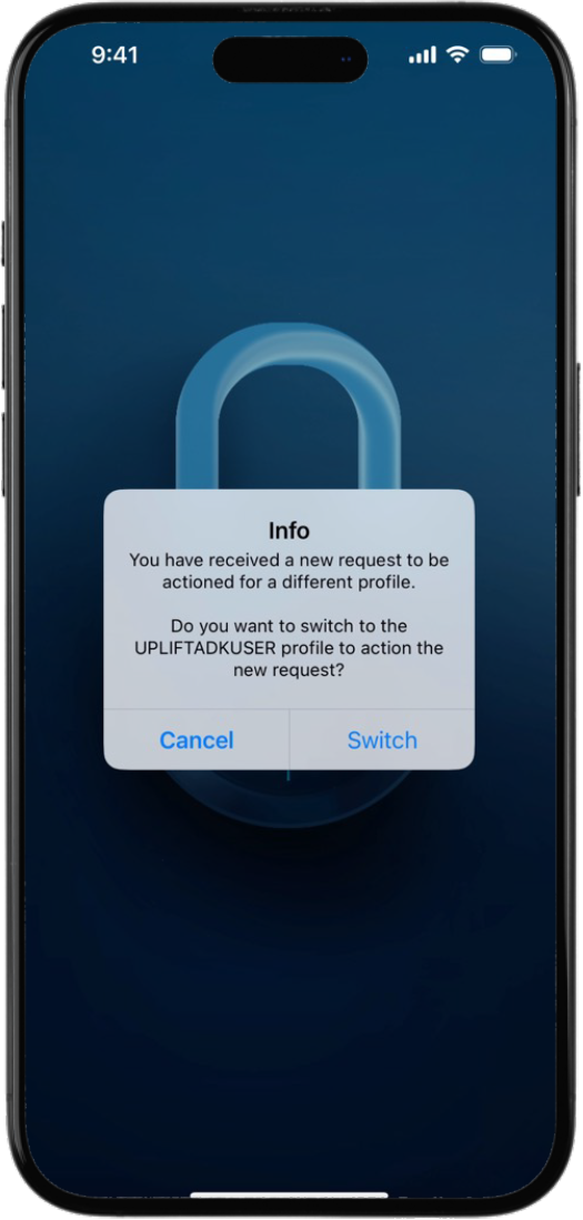 Switch Info dialog box.png