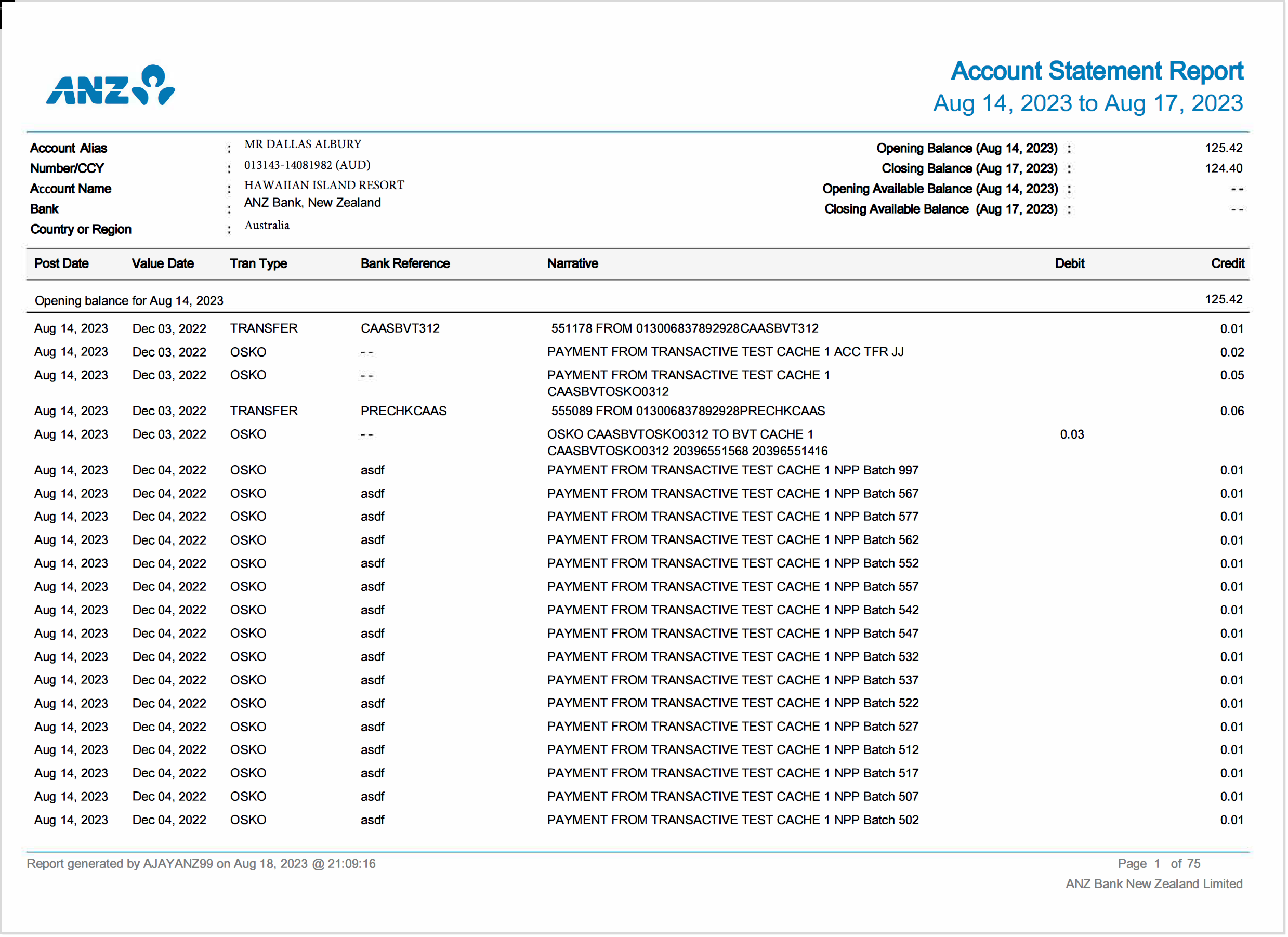 Report - Account Statement.png