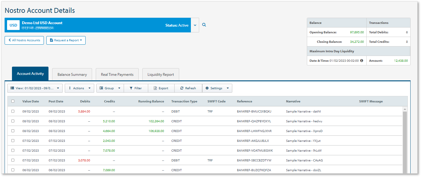 Nostro - 新同业账户详情屏幕（无标记）
