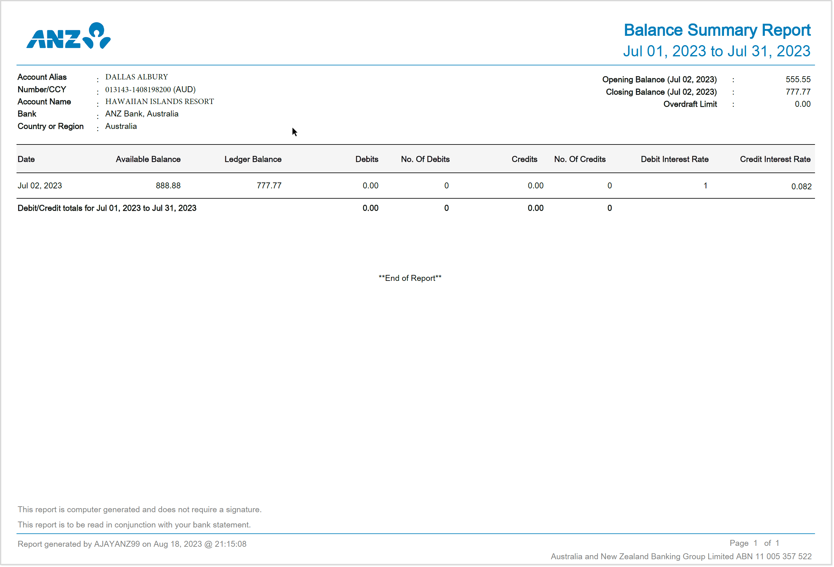 Report - Balance Summary.png