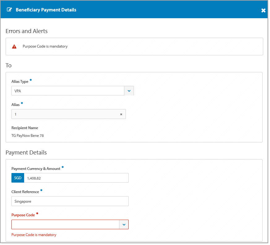 Error - PayNow Purpose Code.png