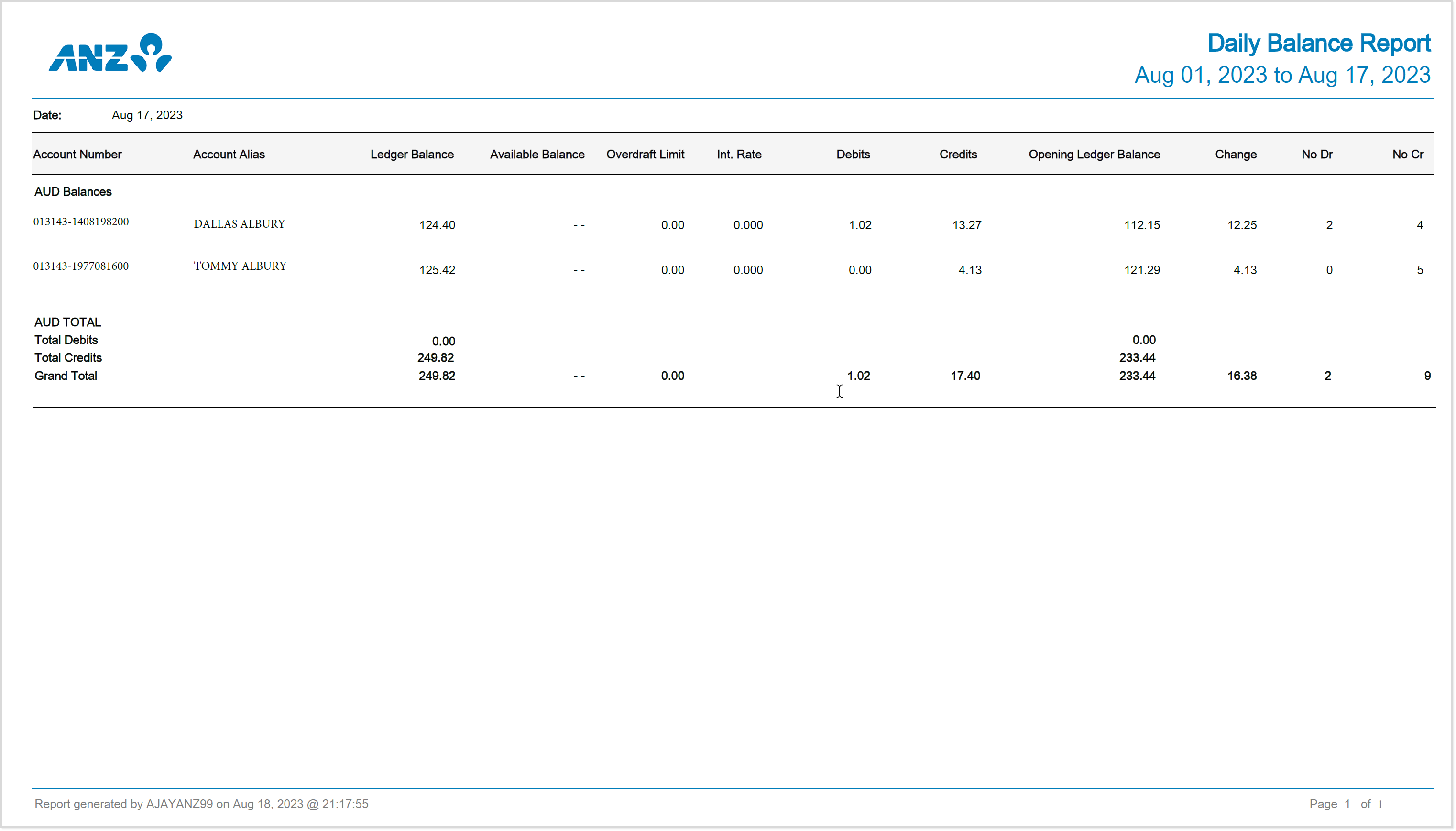 Report - Daily Balance.png