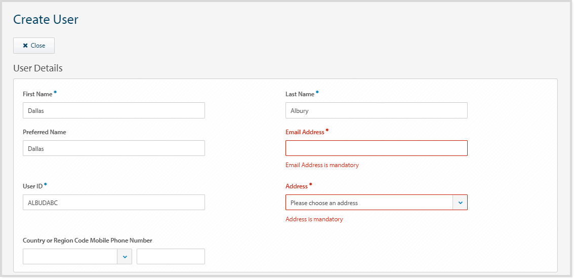 Error - Mandatory Fields.png