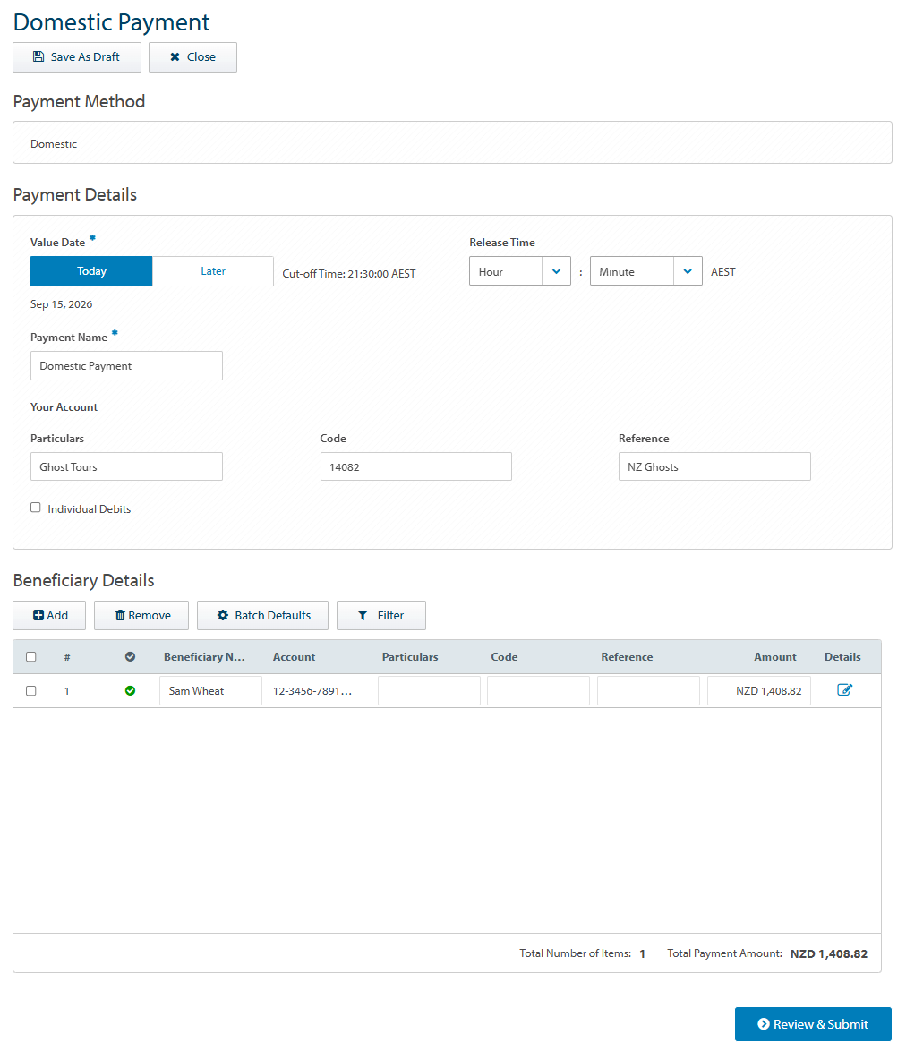 Domestic Payment input screen TG2.0.png