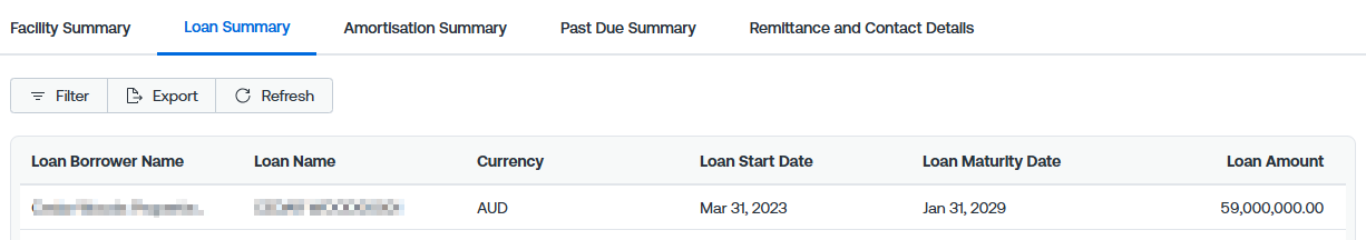 Loan Summary TG2.0.png