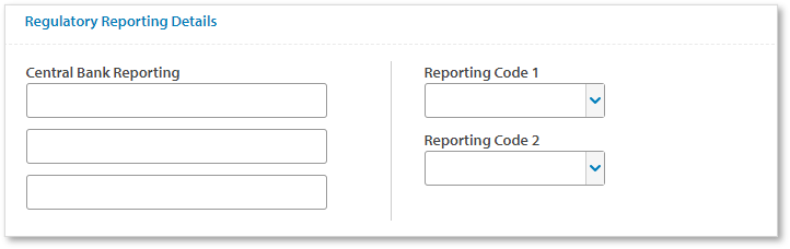 Payment_Instructions_-_Reg_Reporting_Details.png